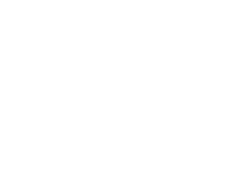 Rooter King Plumbers Logo - White