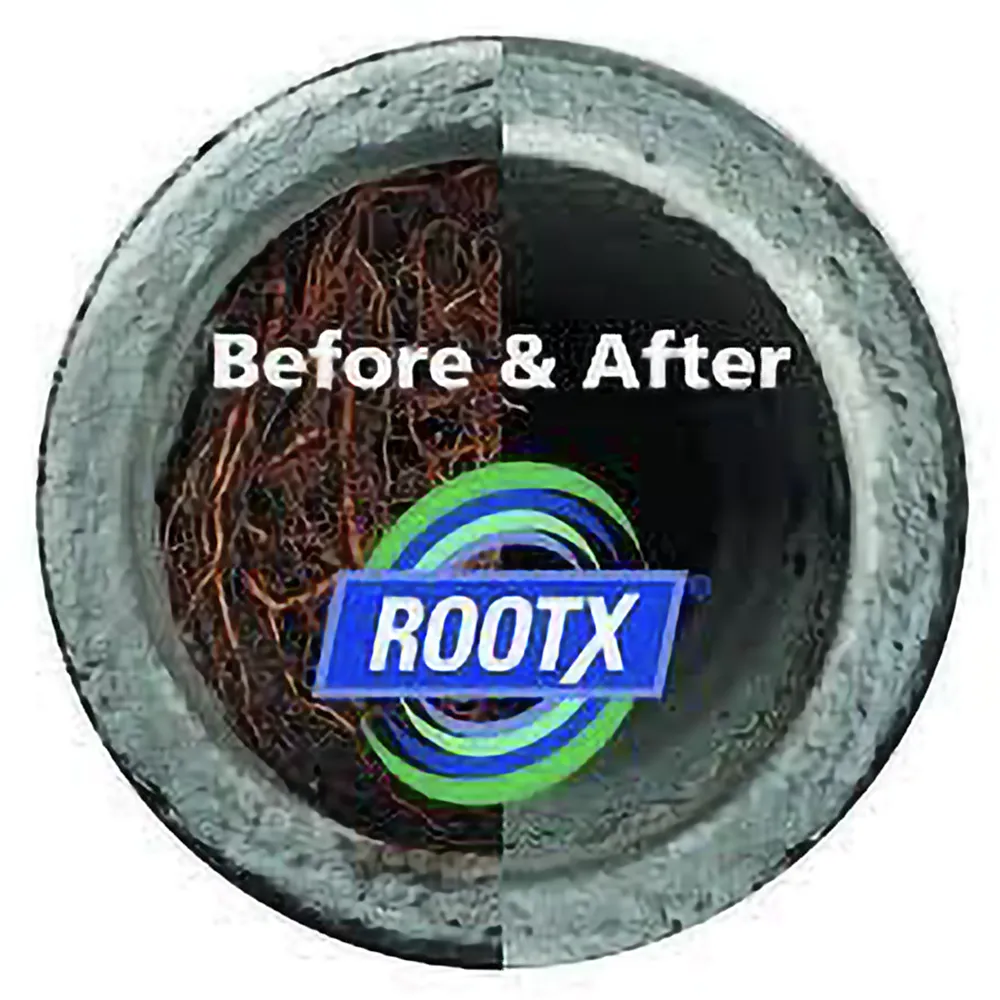 RootX treatment service